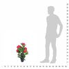 Miniatuurafbeelding van het product 3 van 3