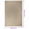vidaXL Vloerkleed ZIZUR beige binnen en buiten 200x290 cm jute look