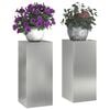 vidaXL Plantenstandaard 2 pcs Zilver 24 x 24 x 55 cm