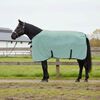 vidaXL Paardendeken Speciale Groen Polyester