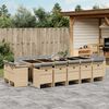 vidaXL 15-delige Tuinset met kussens poly rattan gemengd beige