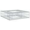 vidaXL Gabion Verhoogd Bed 80 x 80 x 20 cm Gegalvaniseerd staal Zilver