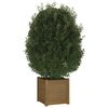 vidaXL Plantenbakken 2 st 40x40x40 cm massief grenenhout honingbruin