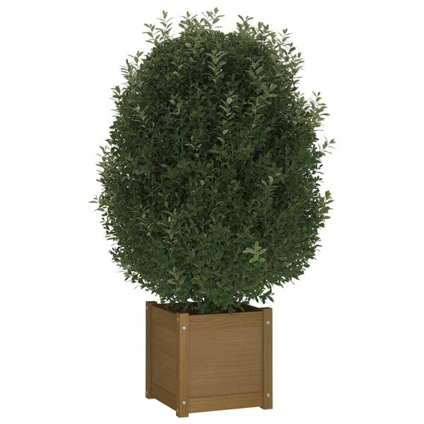 vidaXL Plantenbakken 2 st 40x40x40 cm massief grenenhout honingbruin