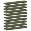 Olive_green