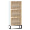 vidaXL Schoenenkast 52x25x120 cm bewerkt hout wit