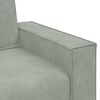 vidaXL Fauteuil 100x78x84 cm fluweel lichtgrijs