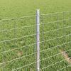 Miniatuurafbeelding van het product 4 van 6