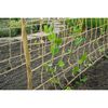Nature Klimnet voor planten 1,8x5 m naturel