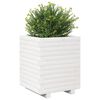 Miniatuurafbeelding van het product 4 van 10