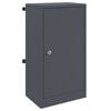 vidaXL Brievenbus met opslag met slot Antraciet 30 x 20 x 55 cm Staal