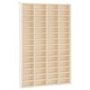 vidaXL Houten Verzamelaarsvitrine met 56 Vakken 40x4,5x60cm