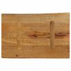 vidaXL Tafelblad met natuurlijke rand 50x40x3,8 cm massief mangohout