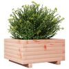 vidaXL Plantenbak 50x50x26,5 cm massief douglashout