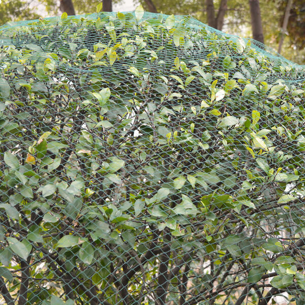 vidaXL Vogelnetten 5 stuks 4x5 m PE