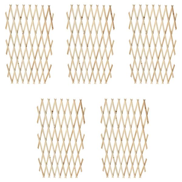 vidaXL Tuinlatwerk 5 st 180x90 cm massief hout