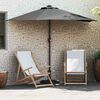 vidaXL Tuinparasol Antraciet 294 x 150 x 224 cm Polyester en staal