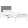 White_and_light_grey