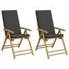 vidaXL Tuinstoelen 2 st inklapbaar met kussens bamboe