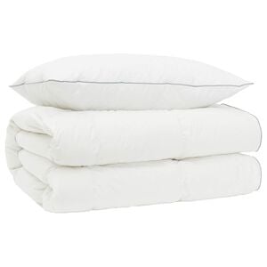 vidaXL 90% ganzen dons dekbedset FULDA 2 st 135 x 200 cm 310 GSM Wit