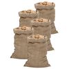 vidaXL Jutezakken 5 stuks 340 g/m&sup2; 60x105 cm 100% jute