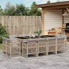 vidaXL 13-delige Tuinset met kussens poly rattan gemengd beige
