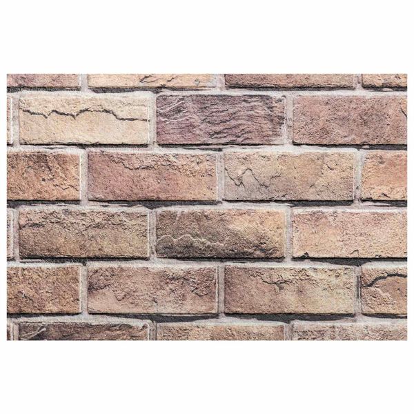 vidaXL Wandpanelen 10 pcs Bruin en Grijs 100 x 50 cm EPS-schuim