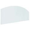 vidaXL Vuurplaats Glazen Plaat Doorzichtig 120 x 50 cm Glas