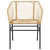 vidaXL Tuinstoel bruin poly rattan 2 st