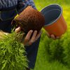 Miniatuurafbeelding van het product 10 van 11