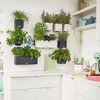 LECHUZA Plantenbakken 3 st Green Wall Home Kit leigrijs