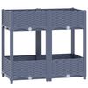 Blue_grey