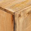 vidaXL Hoge kast met lade Bruin 40 x 33 x 110 cm Massief Mango Hout