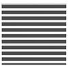 vidaXL Zebra rolgordijn 165x100 cm stofbreedte 160,9 cm zwart