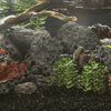 Miniatuurafbeelding van het product 2 van 5
