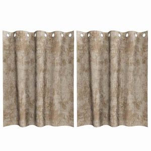 vidaXL Velvet Gordijnen 2 pcs champagne 140 x 140 cm Fluweel
