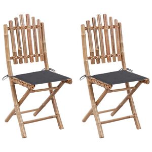vidaXL Opklapbare stoelen (2 stuks) met kussens, bamboe