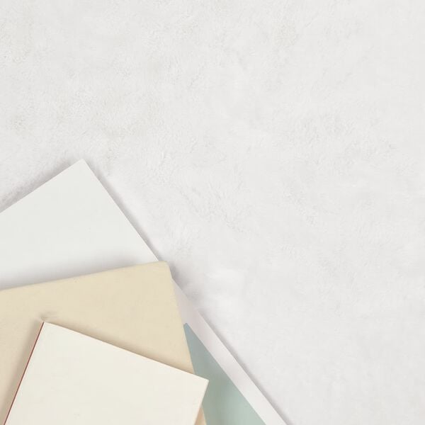 vidaXL Nep Konijnenbont Tapijt Olite Wit 80 x 120 cm Polyester