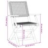 Miniatuurafbeelding van het product 12 van 13