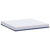 vidaXL Matras Wit en Blauw 180 x 200 cm Jacquard stof
