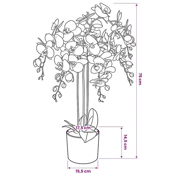 Productafbeelding 3 van 3