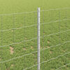 Miniatuurafbeelding van het product 4 van 7