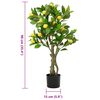 Miniatuurafbeelding van het product 5 van 5