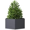 Miniatuurafbeelding van het product 3 van 8