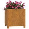 vidaXL Plantenbakken met poten 2 st roestig 40x40x40 cm cortenstaal