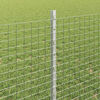 Miniatuurafbeelding van het product 4 van 11