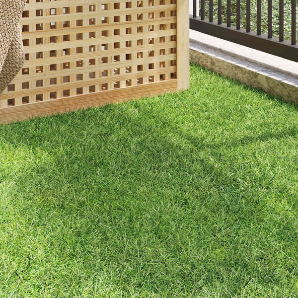 Productafbeelding 3 van 10