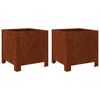vidaXL Plantenbakken 2 st 30x30x30 cm weervast staal