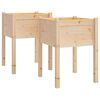 vidaXL Plantenbakken 2 st 50x50x70 cm massief grenenhout