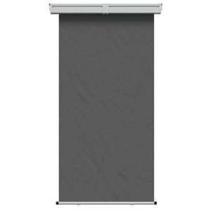 vidaXL Zijscherm Balkon 100% polyester ijzer staal